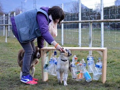 Des prouesses d'Hermes: éducateur à la méthode POSITIVE (ORIOL MANON), Dresseur de Chiens à Sonnaz