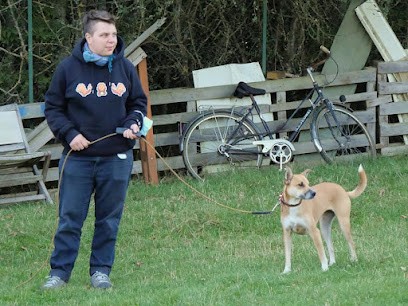 Arkanin, Dresseur de Chiens à Nogent-le-Roi