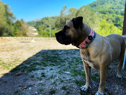 Les Jardins De Nädä, Pension Pour Chien à la Trinité
