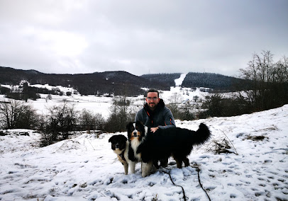 4 Pattes Et Une Truffe Educateur Canin Dresseur De Chiens à Tassin-la-Demi-Lune