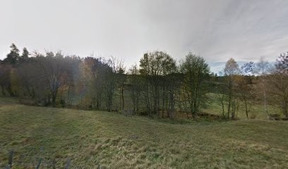 Canine Harmony - Éducation Canine Lozère, Dresseur de Chiens à Estables