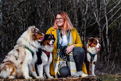 Pas bête la truffe, Dresseur de Chiens à Lons-le-Saunier