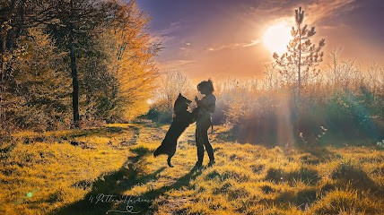 4 Pattes Harmonie - Educateur Canin Comportementaliste, Dresseur de Chiens à Rieux-de-Pelleport