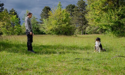 ÉDUC’anima - Educateur Et Comportementaliste Canin Nancy, Dresseur de Chiens à Nancy