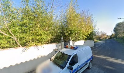 Elevage de Terre Neuve Des Nounours Désires du Sud, Eleveur de Chiens à Sussargues