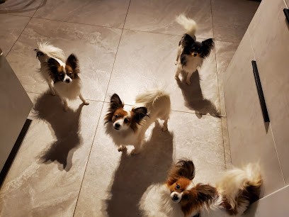 L'Epopée De Kaa, Eleveur de Chiens à Fenioux