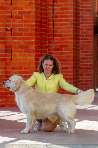 Elevage De La Belle Melody, Éleveur De Chiens au Tranger