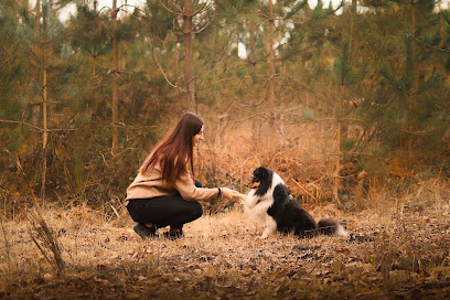 Charline Cordin, Educateur Comportementaliste Canin, Dresseur De Chiens à Aubergenville
