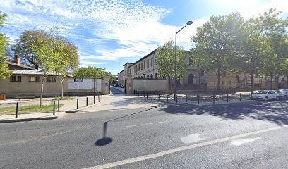 S.C.I.F Société Canine De L'Ile De France, Eleveur de Chiens à Maisons-Alfort