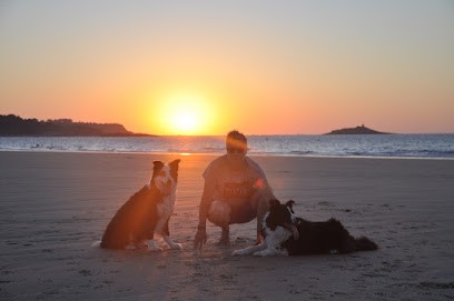 Happy Doggy, Dresseur de Chiens à Rueil-Malmaison