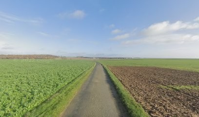 Elite canin, Eleveur de Chiens à Coudray