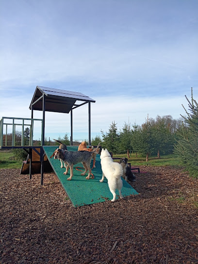 Pension Crochou, Pension Pour Chien à Vicq-sur-Breuilh