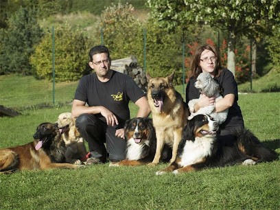 Educateur Canin à Domicile, Dresseur de Chiens à Saint-Régis-du-Coin