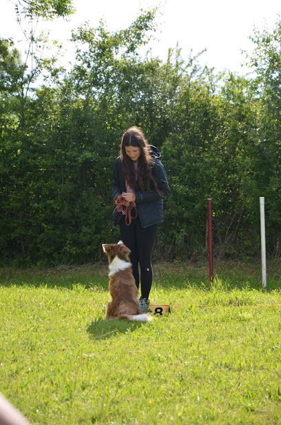 Lola Éducatrice Comportementaliste Canine Dresseur De Chiens à Castres