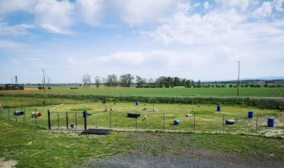 La classe canine ( Éducateur comportementaliste,pension), Dresseur de Chiens à Malintrat