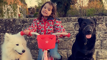 Aurore And Dog, Dresseur de Chiens à Vildé-Guingalan