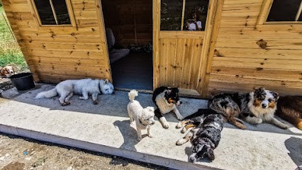 La pension du Bonheur, Pension pour Chiens à Clumanc