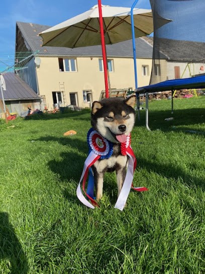 Des Plaines d'Ardennie, Eleveur de Chiens à Neuvizy