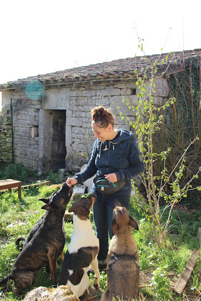 Rivière Positive - Educateur Canin Et Comportementaliste Félin - Tarn-Et-Garonne Et Aveyron, Dresseur De Chiens à Caylus