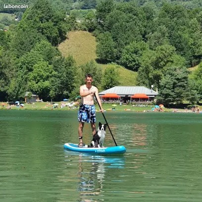 complicité homme et chien, Dresseur de Chiens à Saint-Genest-Lerpt