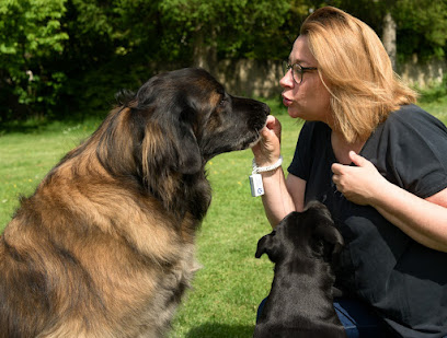 Besoins Canins – Educateur Et Comportementaliste Canin Yutz Dresseur De Chiens à Yutz