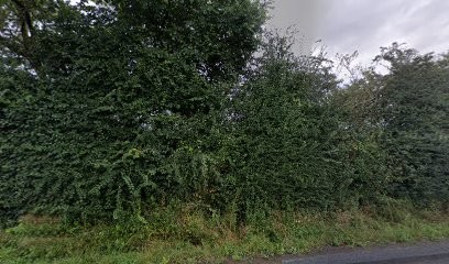 Dancoisne Christophe, Eleveur de Chiens à Parcé-sur-Sarthe