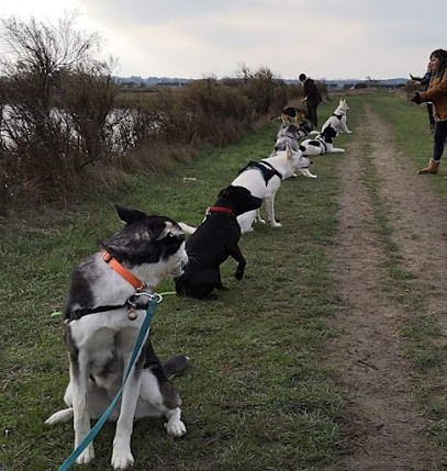 Centre Canin Français, Dresseur de Chiens à Sainte-Flaive-des-Loups