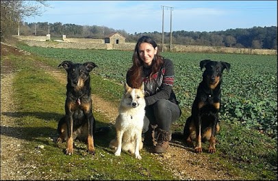 Dog'N'Co, Dresseur de Chiens à Selongey