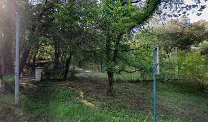 Delville Claudine, Eleveur de Chiens à Callas