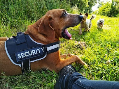 Anima'libre, Pension pour Chiens à Domalain