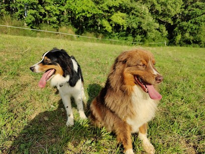 L'Esprit Tranquille, Pension pour Chiens à Tieste-Uragnoux