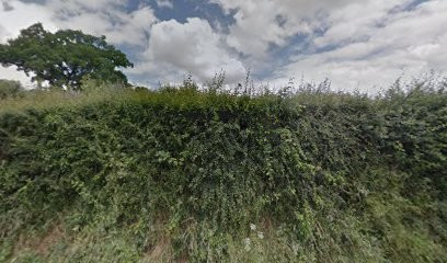 Le Chenil De Retz - Pension Et Elevage Canin, Pension pour Chiens à Chaumes-en-Retz