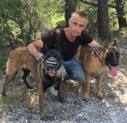 Kn1Dognose Perpignan 66 Éducateur Comportementaliste Canin, Pension Canine, Éleveur De Malinois Dresseur De Chiens à Millas