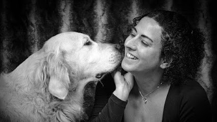 Qualipattes, Dresseur de Chiens à Ozouer-le-Voulgis