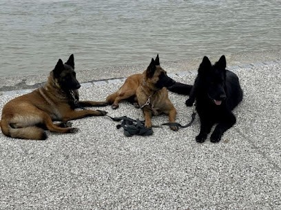 Ecoute Ton Chien, Dresseur de Chiens à Vignacourt