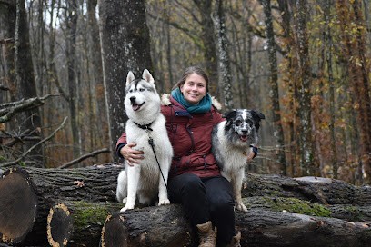 Langage De Chien - éducateur Canin Comportementaliste, Dresseur de Chiens à Sonchamp