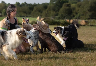 O RANCH CANIN, Pension pour Chiens à Vallereuil