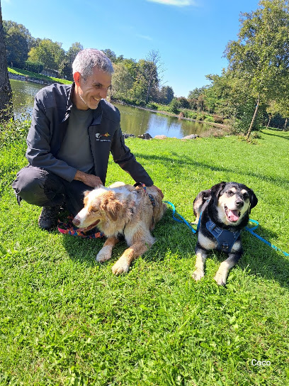 Onde Canine Education - Éducateur Comportementaliste Canin Secteur Plaine Du Forez Dresseur De Chiens à Craintilleux
