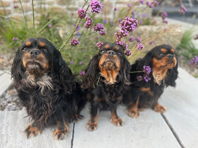 Elevage Du Domaine De Kerzalou, Éleveur De Chiens à Landéda