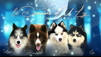 Ledomainedulys Éleveur De Chiens à Évreux