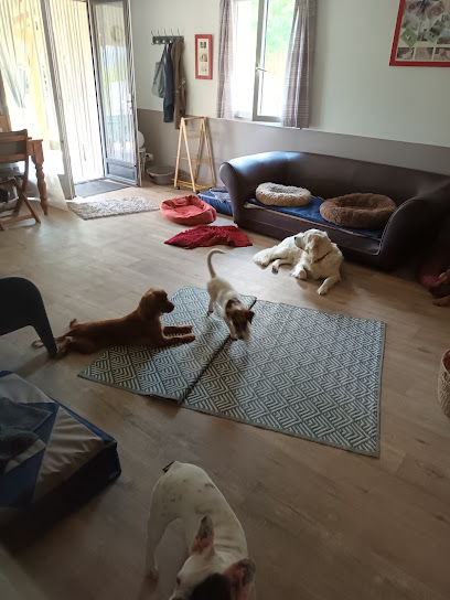 Pension Canine Ze Dog House - Charente, Pension Pour Chien à Palluaud