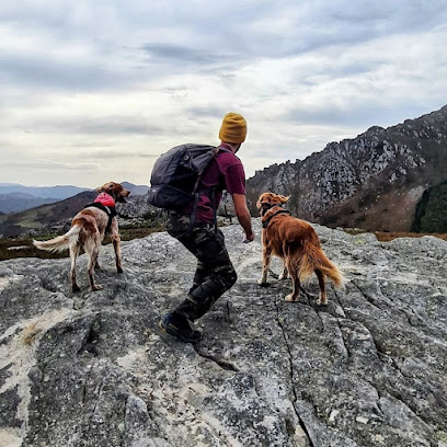 Éducateur Canin À Domicile (Lot Et Garonne)À Bout D'laisse Dresseur De Chiens à Aiguillon