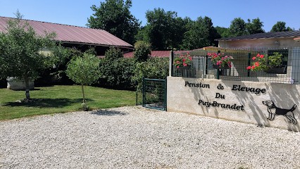Pension Canine du Puy Brandet, Pension pour Chiens à La Couronne