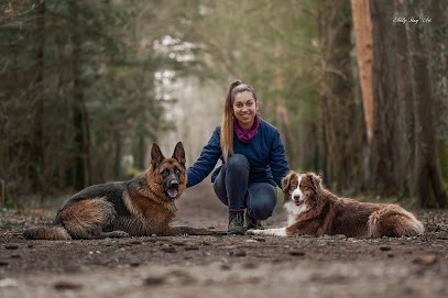 Educateur & Comportementaliste Canin - Parlons Bien Parlons Chien, Dresseur de Chiens à Neuvy-en-Sullias