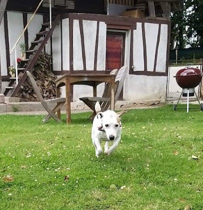 Pension Canine Regliss & Cie, Pension pour Chiens à Écrainville
