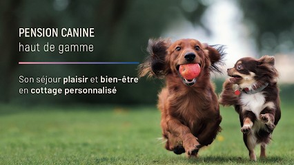 Sweet Home Dog, Pension pour Chiens à Andouillé