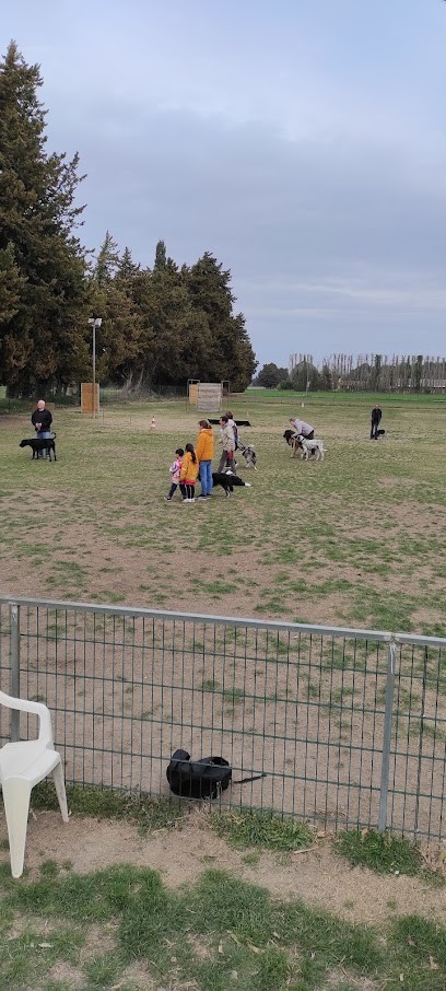 Saint Sat Club Canin, Dresseur de Chiens à Saint-Saturnin-lès-Avignon