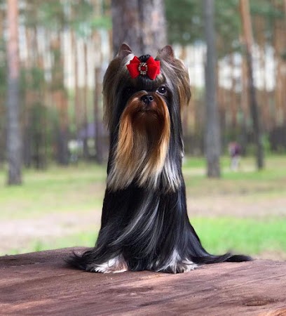 VERY CASTEL D'ARGENT, Eleveur de Chiens à Gresse-en-Vercors