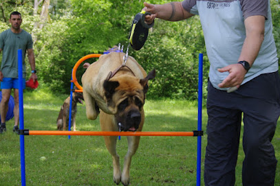 Olivier Pro-Canin, Dresseur De Chiens à Privas