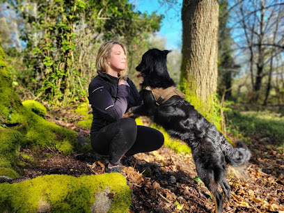 Loen - Educateur Canin - Comportementaliste-Pet Sitter-Garde Dresseur De Chiens à Guidel